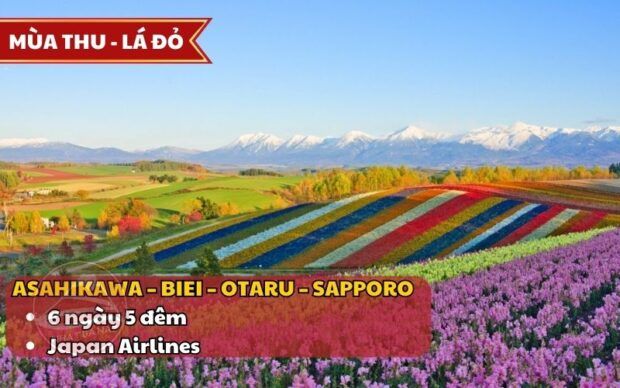 Tour Hokkaido mùa lá đỏ 6n5đ từ Hà Nội bay Japan Airlines