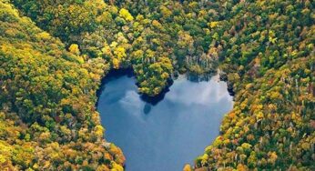 Những bức ảnh mùa thu Hokkaido đẹp mê hồn cho “dế cưng”