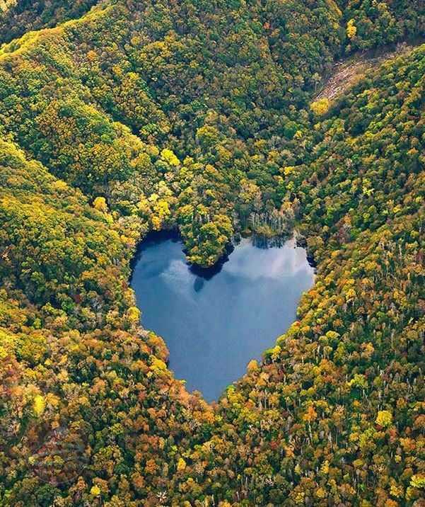 Những bức ảnh mùa thu Hokkaido đẹp mê hồn cho “dế cưng”