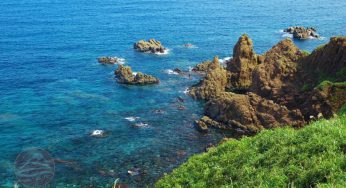 Du lịch Niigata, trượt tuyết và ngất ngây trong “thế giới rượu Sake”