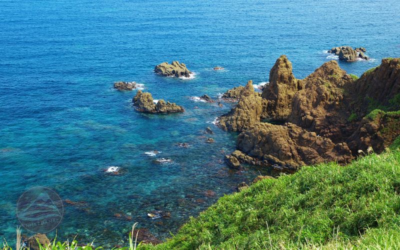 Du lịch Niigata, trượt tuyết và ngất ngây trong “thế giới rượu Sake”