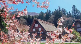 [Mùa Lá Đỏ] Tour làng cổ Shirakawa-go Nhật Bản 6N5Đ | Hà Nội bay VNA
