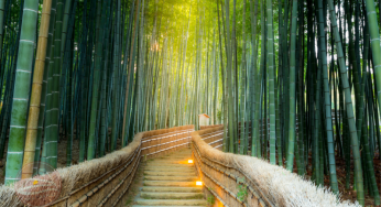 Những hoạt động trải nghiệm ở Kyoto, bạn không thể bỏ qua