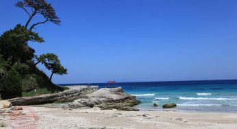 Du lịch Shizuoka, bát ngát những đồi trà và nét đẹp tự nhiên của Nhật Bản