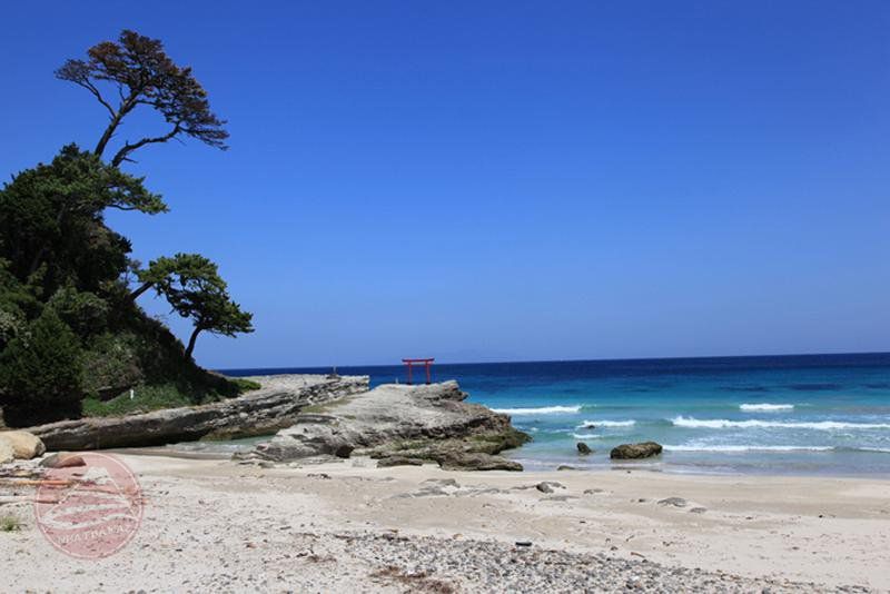Du lịch Shizuoka, bát ngát những đồi trà và nét đẹp tự nhiên của Nhật Bản