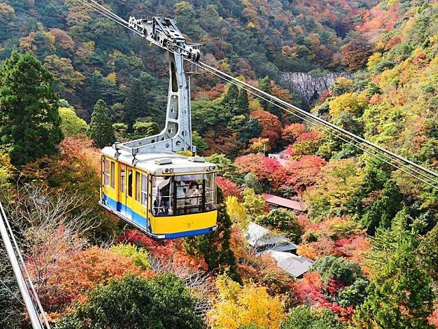 Du lịch Hyogo, mê hoặc bởi vẻ đẹp thiên nhiên đa dạng