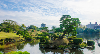 Cẩm nang du lịch Kumamoto, bức tranh sống động của vẻ đẹp tự nhiên và văn hóa Nhật