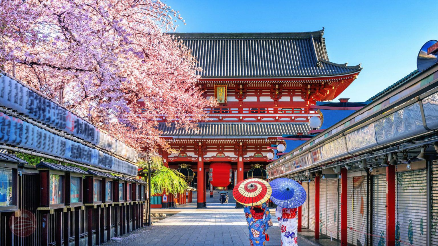 Chùa Asakusa Kannon nổi bật bên những cánh hoa anh đào thu hút người dân ghé thăm