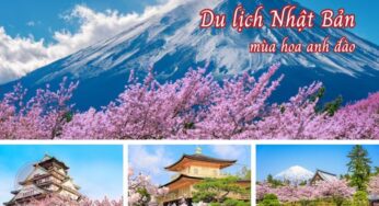[Hoa Anh Đào] Tour Nhật Bản 5N5Đ Osaka-Tokyo | HCM bay VNA