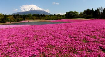 Du lịch Nhật Bản nghỉ lễ 30/4 – 1/5 Tokyo – Osaka 6N5Đ| HCM bay VJ