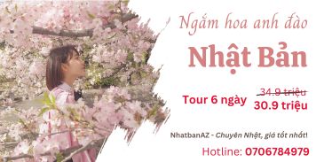 Tour Nhật ngắm hoa anh đào từ 30,9 triệu