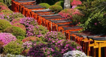 Tour Nhật Bản lễ 30/4-1/5 Tokyo-Osaka 6N5Đ | HN bay VJ
