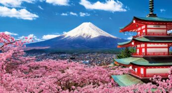 [Hoa Anh Đào] Tour Nhật Bản 6N5Đ Tokyo-Osaka | HN bay VJ