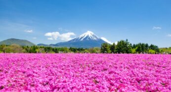Tour Nhật Bản 5N5Đ lễ 30/4 – 1/5 Osaka-Tokyo | HCM bay VNA