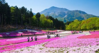 Tour Nhật Bản 6N5Đ lễ 30/4-1/5 Tokyo-Osaka về sáng | HN bay Vietjet Air