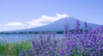 [Mùa hè rực rỡ] Tour Nhật Bản 5N5Đ Osaka-Tokyo | TP.HCM bay Vietjet Air