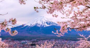 [Hoa Anh Đào] Tour Nhật Bản 6N5Đ Osaka – Tokyo | HCM bay VJ