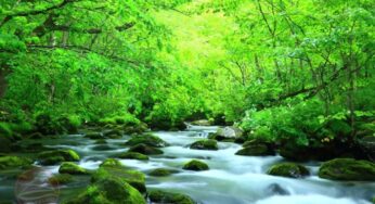 Khám phá vẻ đẹp huyền bí của hồ Towada-ko