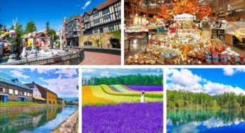 [Lavender] Tour Hokkaido Nhật Bản 6N5Đ | Hà Nội bay Japan Airlines