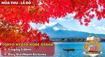 [Mùa Lá Đỏ] Tour Nhật Bản 5N5Đ Osaka-Tokyo | TP. HCM bay Vietjet