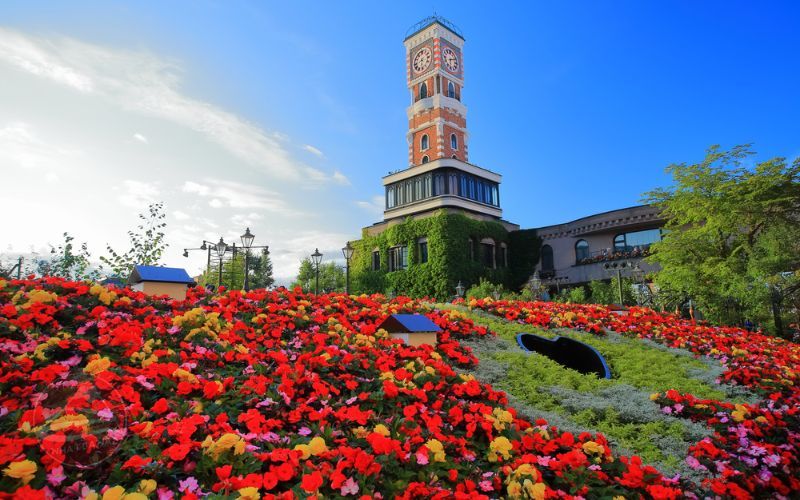 Vườn hồng nổi tiếng tại Công viên Shiroi Koibito Park
