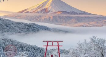 [Mùa Đông] Tour Nhật Bản 6N5Đ Osaka-Tokyo | Hà Nội bay Vietjet