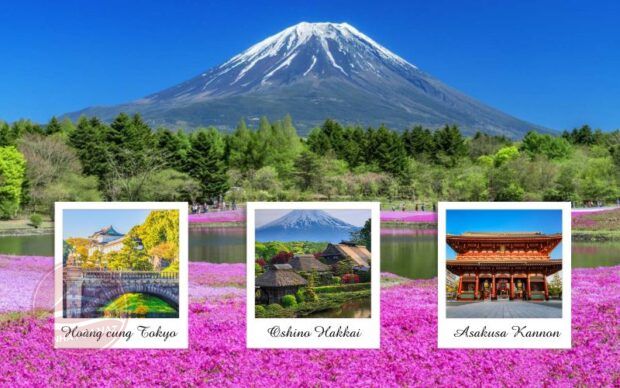 Tour Nhật Bản giá rẻ mùa hè 2024