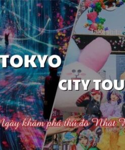 Tokyo City Tour 1 ngày khám phá thủ đô Nhật Bản
