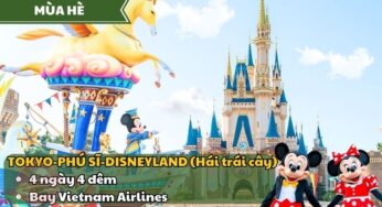 [Hè] Tour Nhật Bản 4N4Đ Disneyland | TP.HCM bay VNA