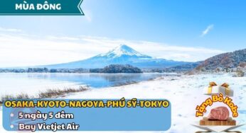 [Mùa Đông] Tour Nhật Bản 5N5Đ Osaka-Tokyo | TP. HCM bay Vietjet