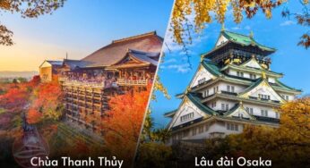 [Mùa Lá Đỏ] Tour Nhật Bản 5N5Đ Tokyo-Osaka | TP.HCM bay Vietjet