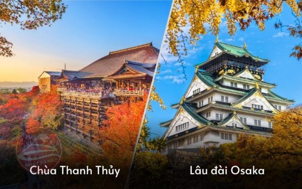 Chùa Thanh Thủy, lâu đài Osaka - Tour Nhật 5n5đ mùa lá đỏ