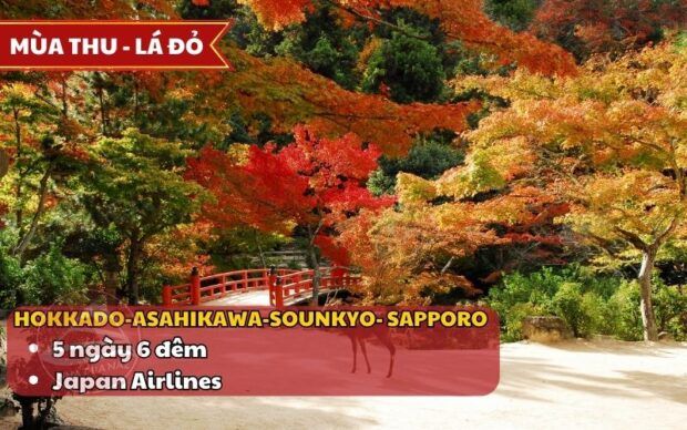 Tour Hokkaido mùa lá đỏ 5N6Đ từ TP.HCM bay Japan Airlines