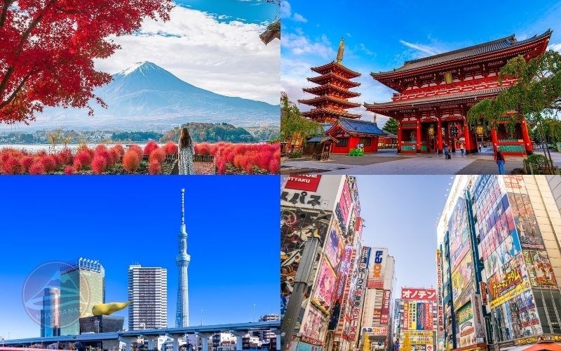 Tour Nhật Bản 5 ngày 4 đêm từ Hà Nội