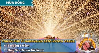 [Lễ hội ánh sáng] Tour Nhật Bản 5N5Đ mùa đông | TP.HCM bay VNA
