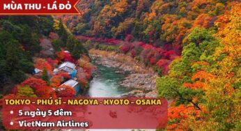 [Mùa Thu] Tour Nhật Bản 5N5Đ Tokyo-Osaka | TP.HCM bay VNA