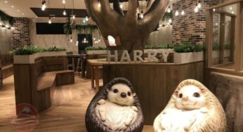 Top 8 quán cafe thú cưng Animal cafe độc đáo ở Tokyo