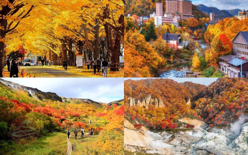 Du lịch mùa lá đỏ Nhật Bản - Hokkaido