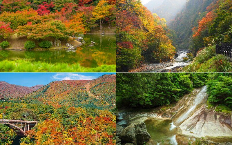 Du lịch mùa lá đỏ Nhật Bản - Shikoku