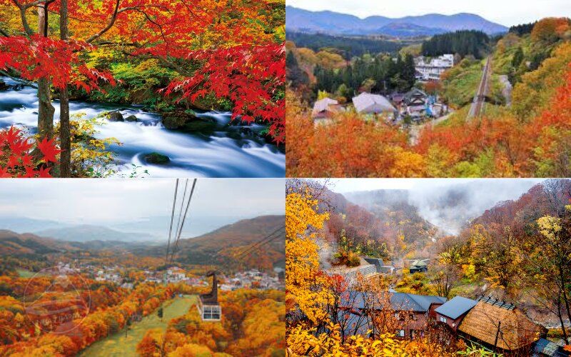 Du lịch mùa lá đỏ Nhật Bản - Tohoku