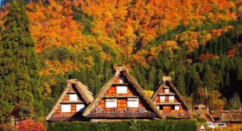 Làng cổ Shirakawago, ngôi làng đẹp như trong cổ tích