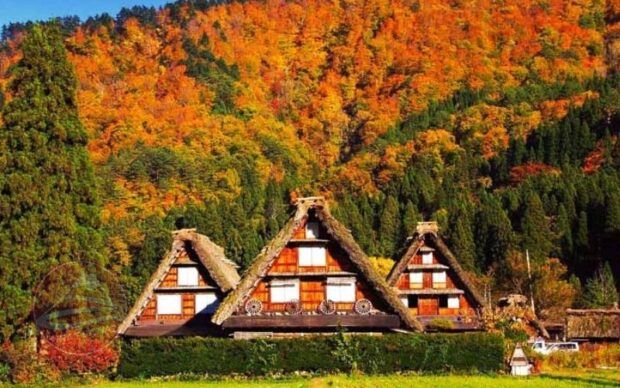 Làng cổ Shirakawago mùa thu rực lửa