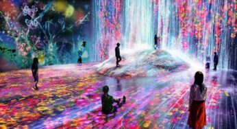 TeamLab: điểm check-in đầy màu sắc ở Tokyo cực chất cho giới trẻ