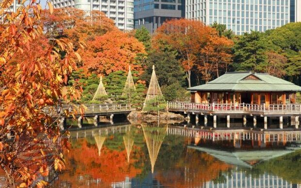 Vườn Hamarikyu Onshi điểm ngắm lá đỏ yên bình và đẹp nhất vào mùa thu