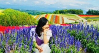 Những bức ảnh đẹp chỉ có ở Nhật bản