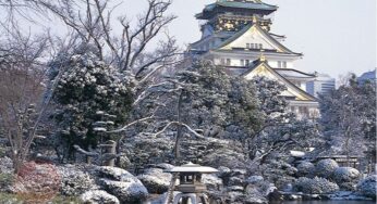 Du lịch Nhật bản dịp Tết Âm Lịch: chọn tour, chia sẻ kinh nghiệm