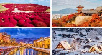 Tour du lịch Nhật Bản 6 ngày 5 đêm: So sánh lịch trình, dịch vụ và giá tour