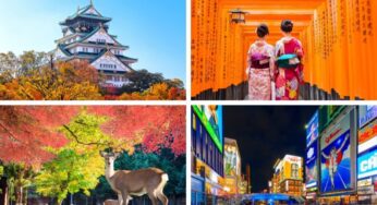 Tour du lịch Nhật Bản 5 ngày 4 đêm: Hồ sơ visa đơn giản, dịch vụ chuẩn Nhật, tiết kiệm