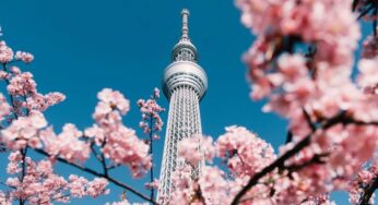 [Hoa Anh Đào] Tour Nhật Bản 6N5Đ CĐV Osaka-Tokyo | Hà Nội Bay VJ