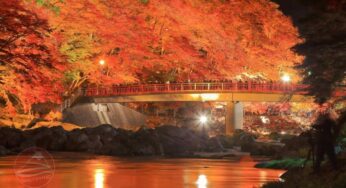 [Mùa Lá Đỏ] Tour Cung Đường Vàng Osaka – Tokyo 6N5Đ | Hà Nội Bay VJ
